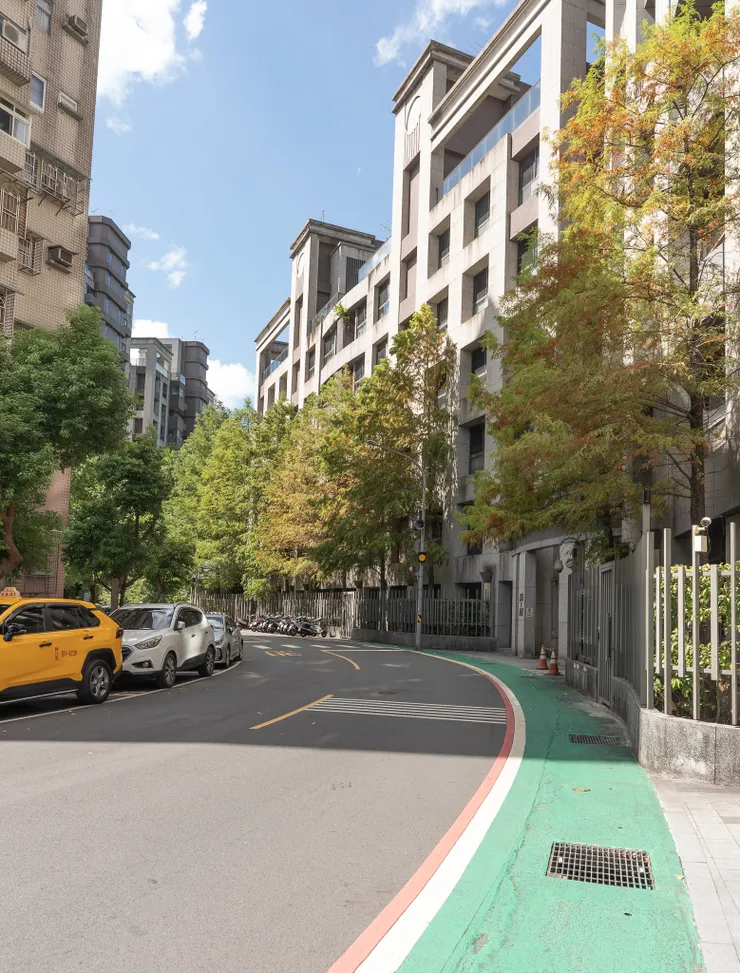 慢慢轉黃的落羽松林