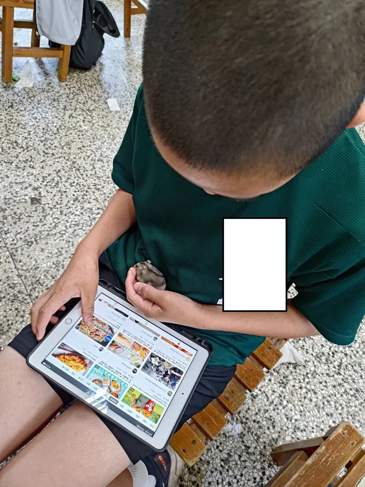 偷養的小倉鼠，最後被下令要帶回家