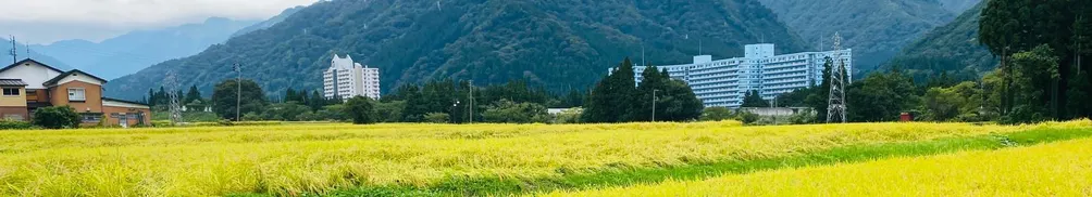 我思，我寫的沙龍