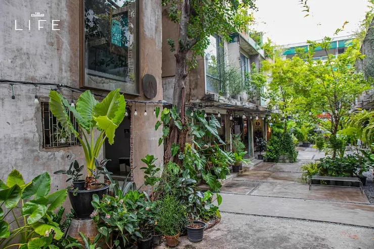 圖片取自 The Standard – 20 อาคารในกรุงเทพฯ ที่แค่เดินเข้าไปก็ได้สัมผัสกับธรรมชาติ!