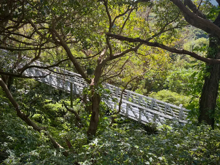 蓋在樹梢上的架空木棧步道，故稱為「林梢步道」