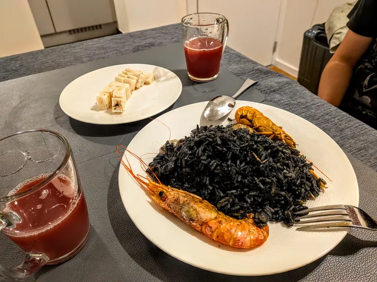 Photo: Zora @ Heverlee, Leuven, Belgium. Aug 10, 2025.