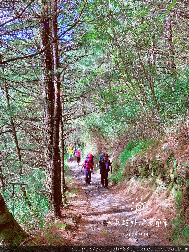 【2024夏。高繞上奇萊南華2天1夜】雲天宮出發高繞路線4.