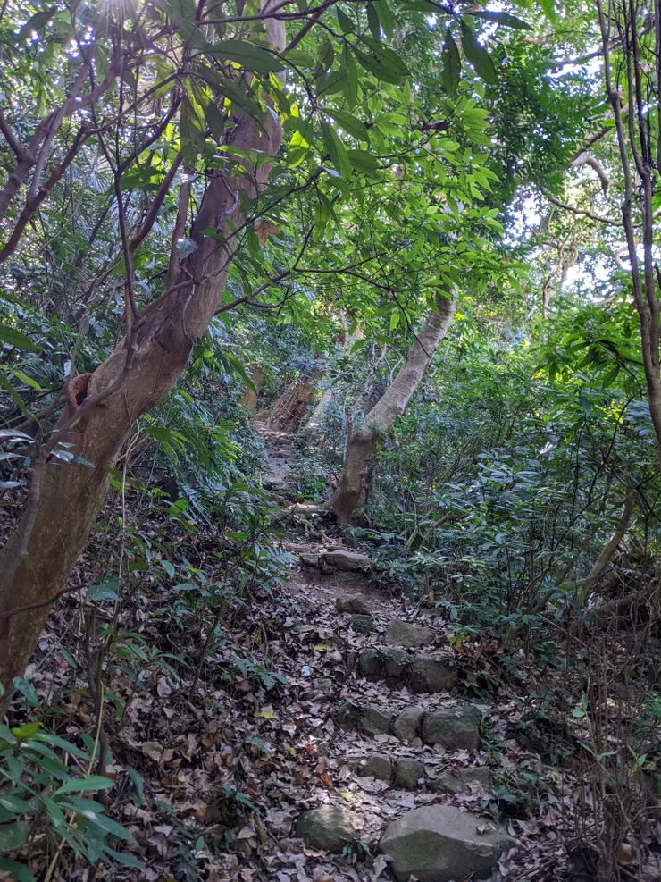 路徑較為原始