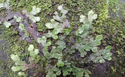 艸亭一隅的沙龍