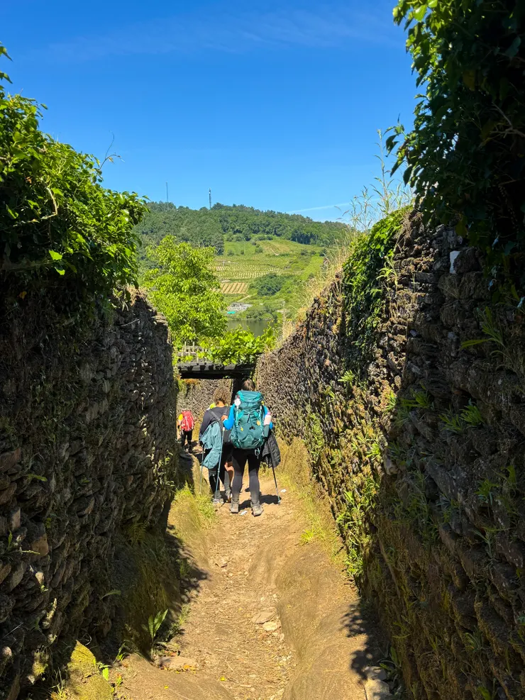 這裡下雨天肯定很泥濘又滑，還好我們四天天氣都超好！同時這也是唯一一段較難走的下坡路段，不過對於長期爬山及有運動習慣的來說是小菜一碟。