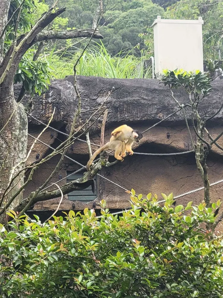 一路就是拍拍拍