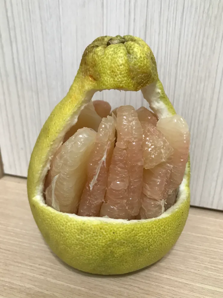 為了剝這個柚子盅搞得我大拇指很痛，不過成品很棒，柚子提籃送給外甥女玩了😆