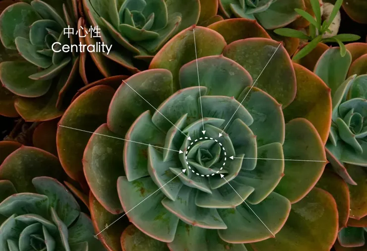 攝影師:Julia Sakelli