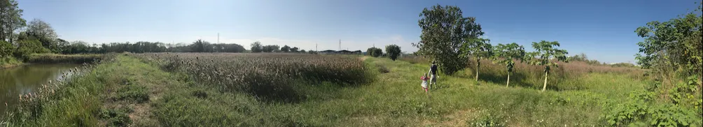 Down to Earth 親土生活