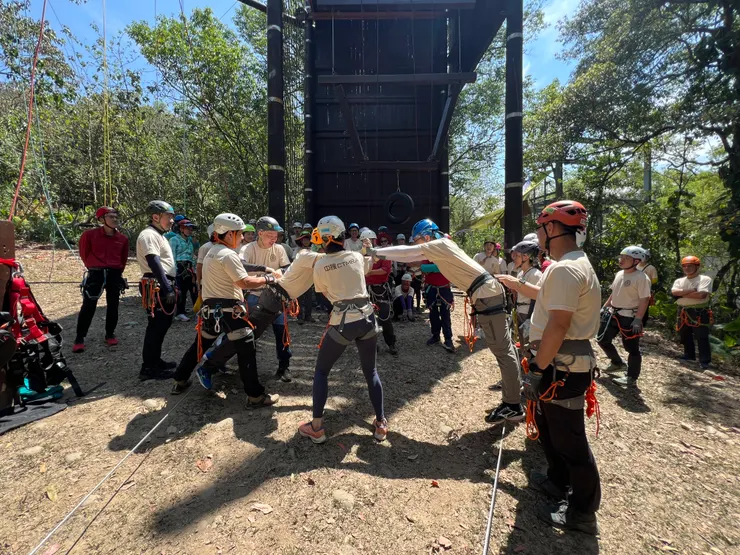 少數有解派的努力