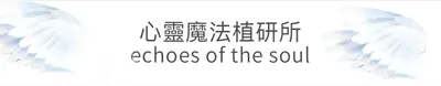 心靈魔法植研所 echoes of the soul的沙龍