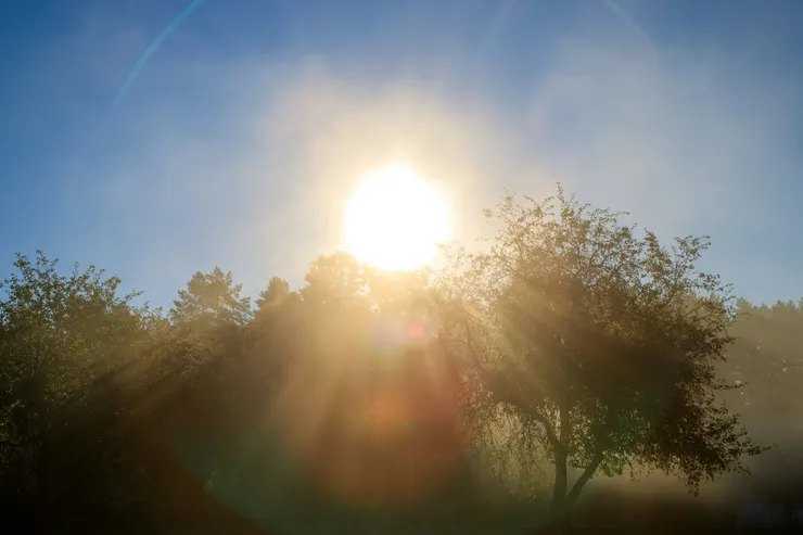 Photo by Dainius Urbanavicius on Unsplash