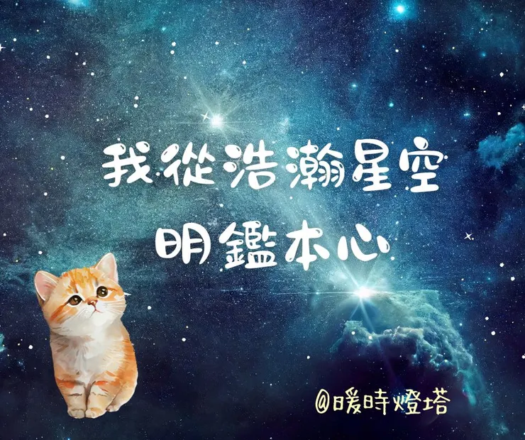 米雅小語