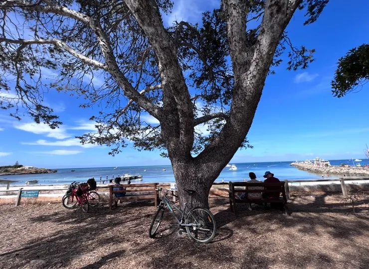 飯後繼續閒逛，享用悠閑的氛圍