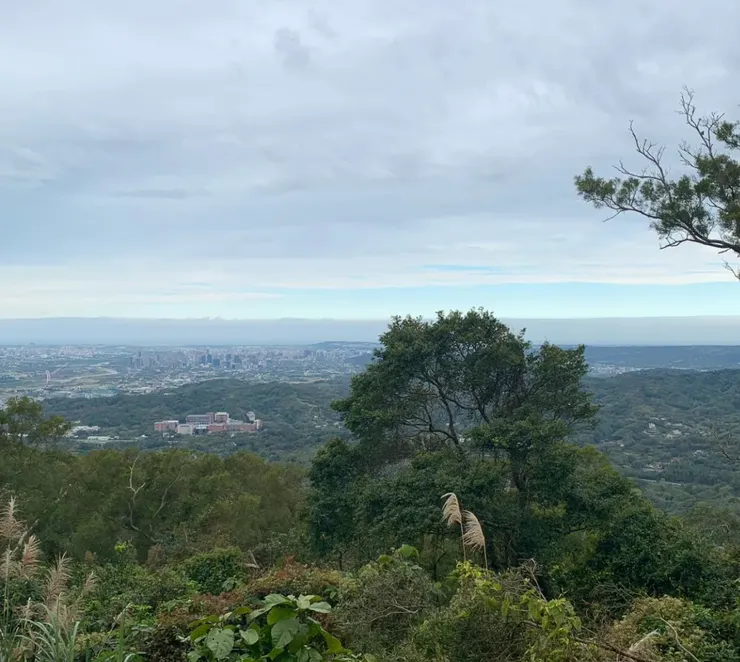 飛鳳山上的展望