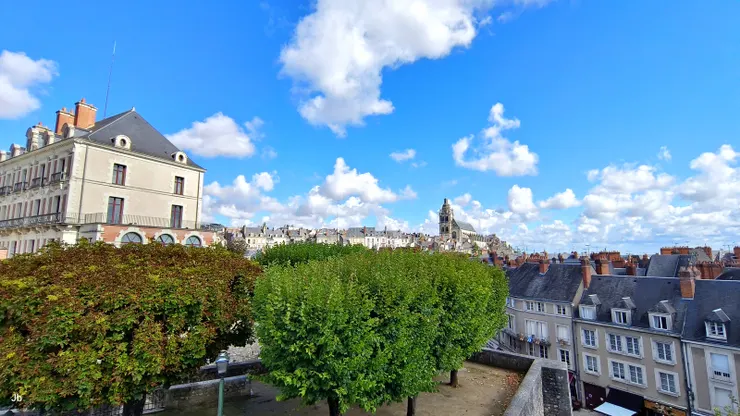 【布盧瓦城堡風格多曾住七王十后 太晚到我們不進門只在週邊張望！從城保平台邊眺望，遠方尖塔為聖路易教堂，左側建築為魔術之家。】