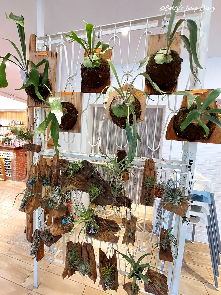 ▲龍潭「野薑花與貓」庭園餐廳/ 圖片來源:Betty's Jump Diary