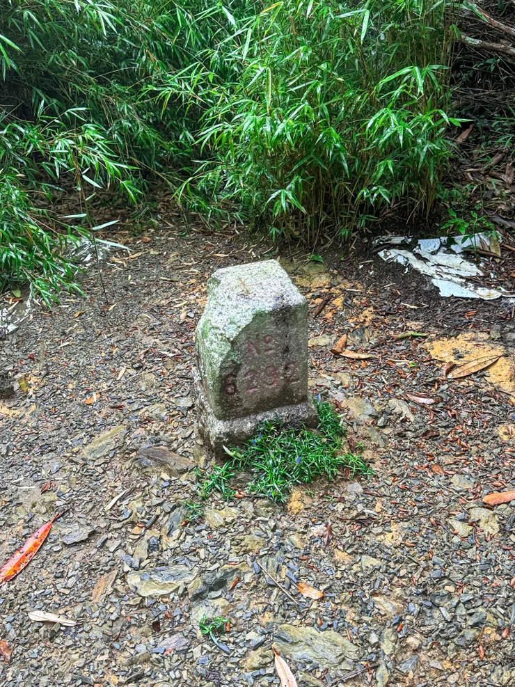 1個半小時後。12:56抵逹低陸山三角點。腹地不大，白牆看不清周圍的風景，低陸山告示牌己破損。