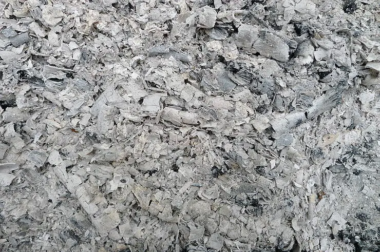 這個就是abu啦。圖片來自維基百科
