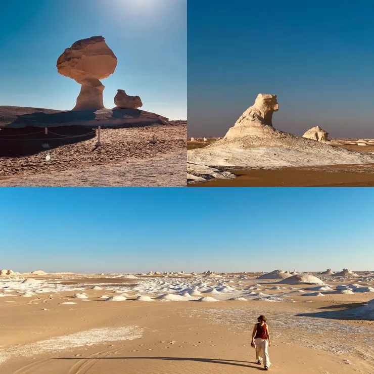 著名香菇和小雞岩石 / 孫悟空的岩石 / 爬上大岩石俯瞰白沙漠