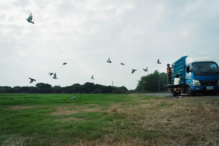 vocus|新世代的創作平台