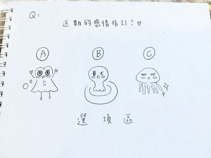 選項