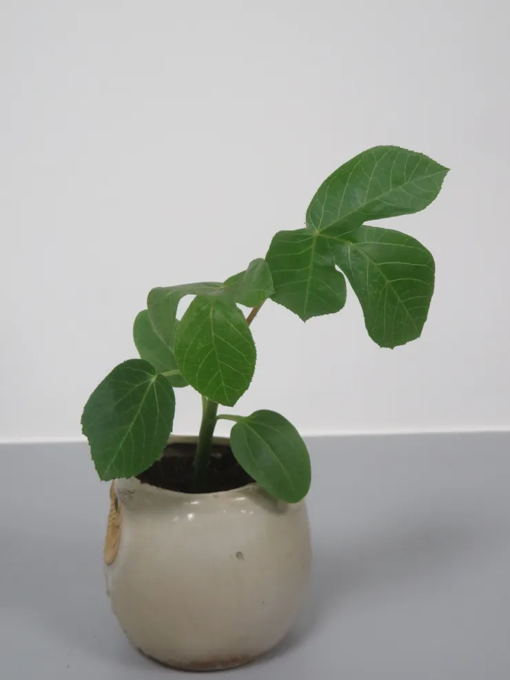 中山社大113.04.18