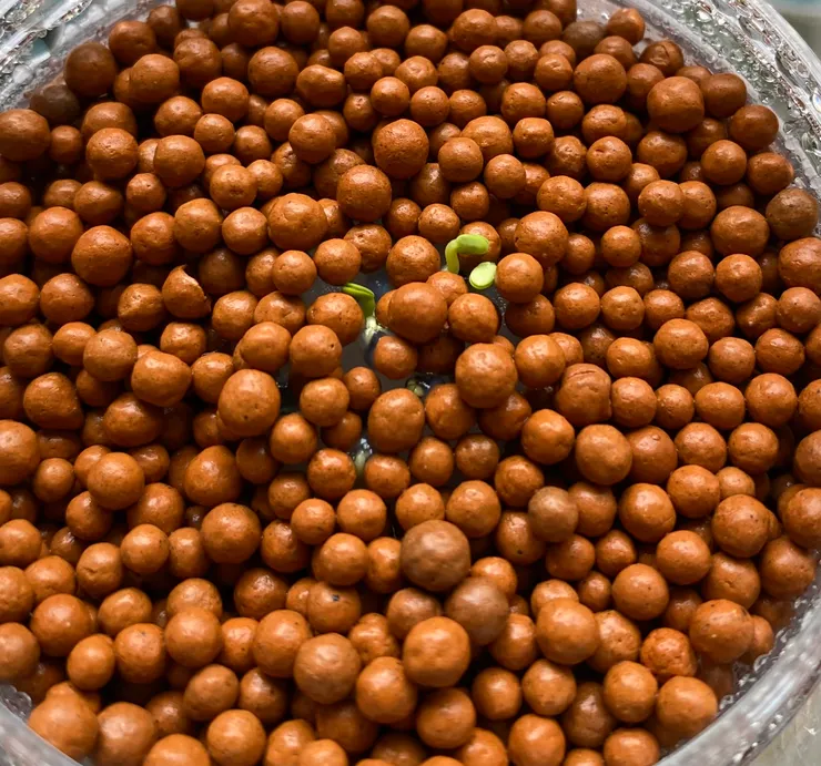 第四天（突然之間就冒出來，奇妙的感動也在心中冒出）