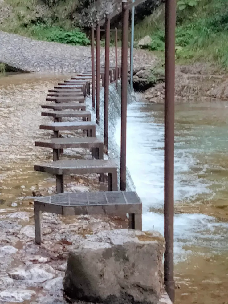 一長排橫渡淺灘的小鐵樁