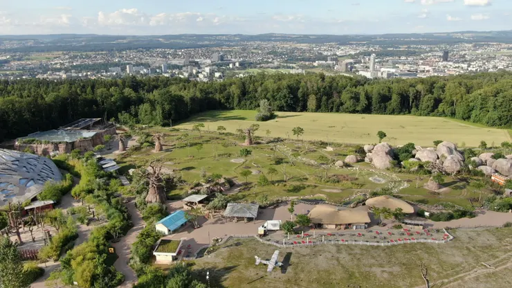 蘇黎世動物園