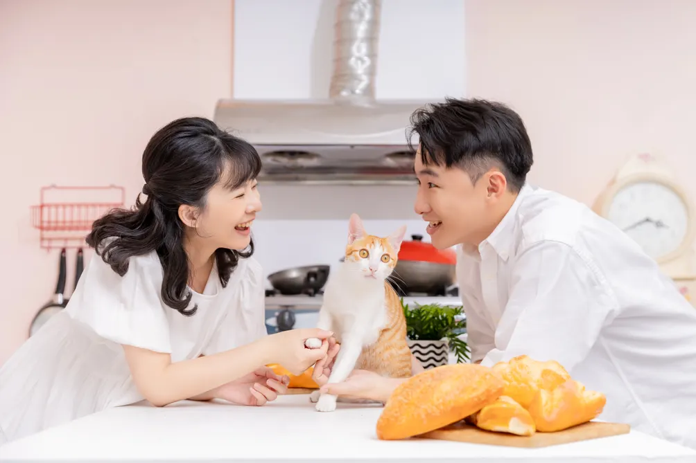 Alice & Willy｜有貓有夢有專業