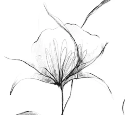 rrf_life & travel & illust 