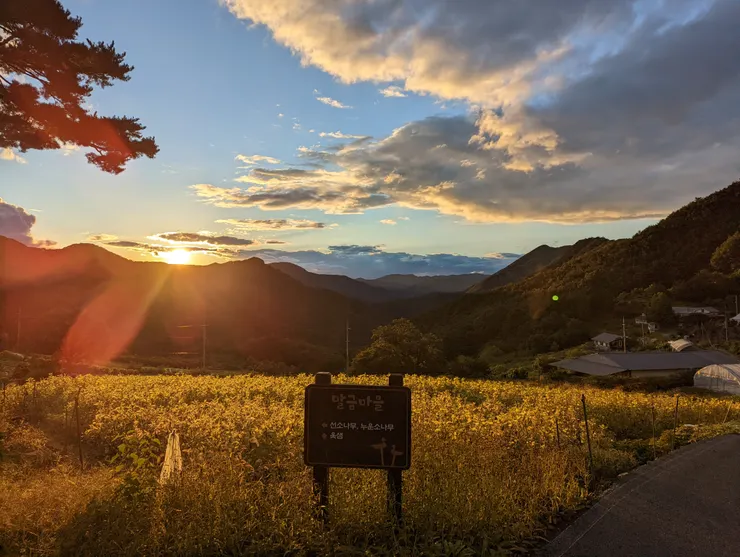 傍晚一起散步時,遇見雨過天晴後的金色夕陽
