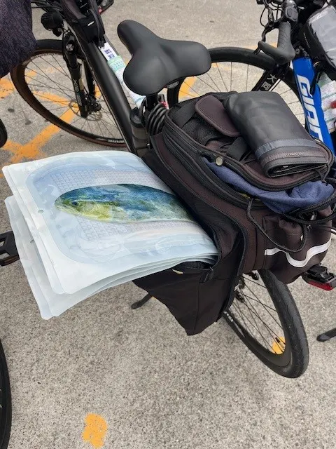 買了鬼頭刀魚片