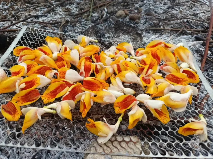 用木炭薰的效果不理想 一定要使用餘燼