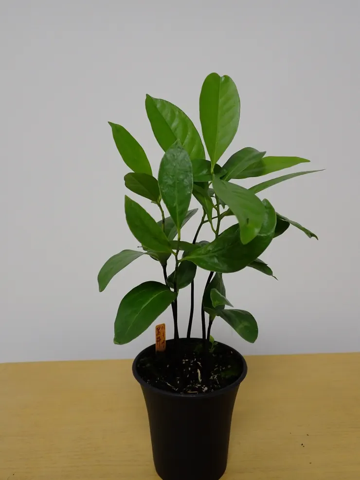 中山社大113.09.05