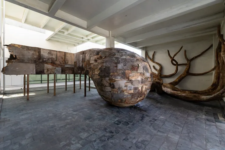 亨里克・奧利維拉，《雜草》（Cizania），2025，層板、回收層板，尺寸依空間而定，藝術家版權所有，由2025 台北雙年展委託製作，材料贊助：民伍實業有限公司、冠帝興業有限公司。本作品承蒙Almeida & Dale 慷慨支持，得以實現。／圖像提供：臺北市立美術館