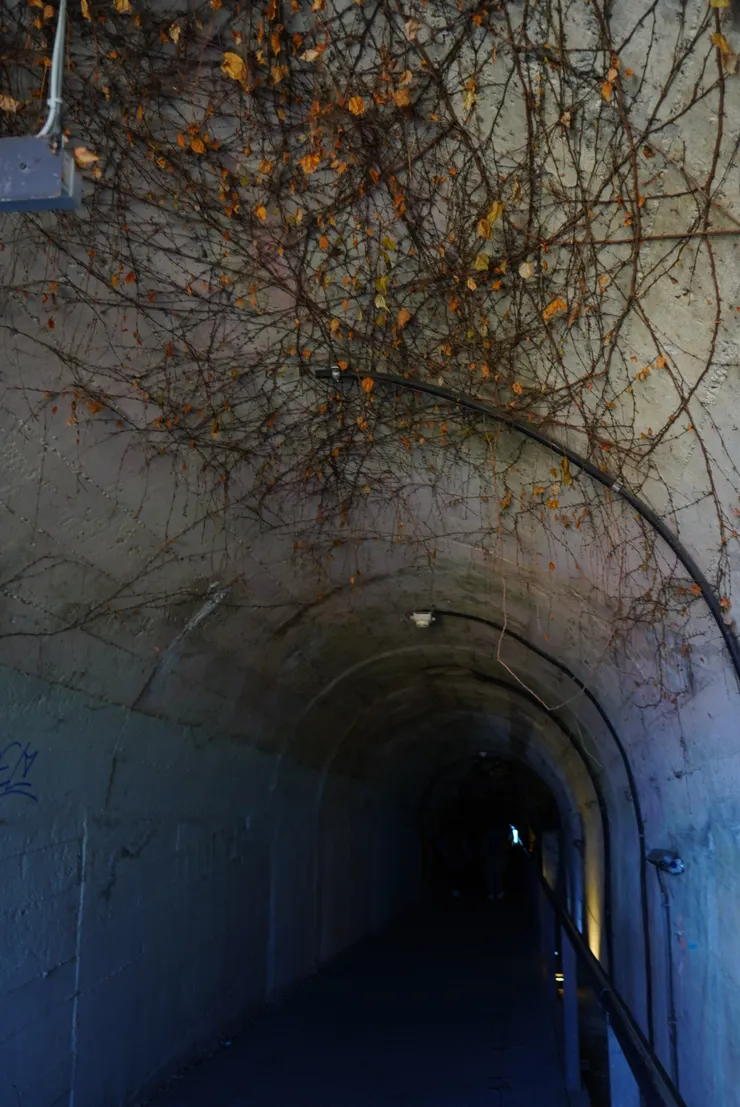 其中一個防空洞入口