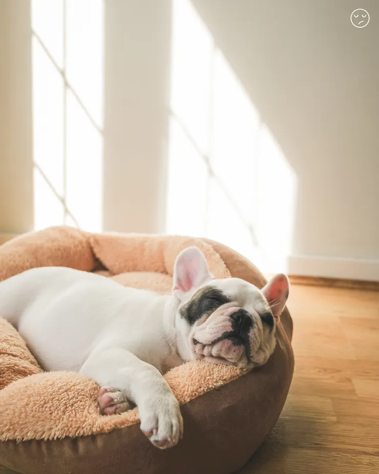 人在什麼時候特別容易感到無聊？