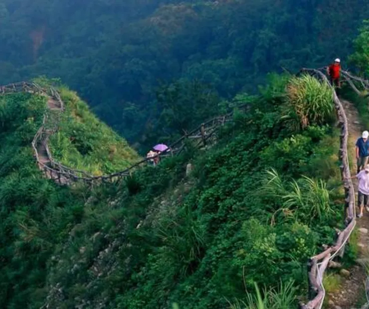 圖片來源：台中觀光旅遊網