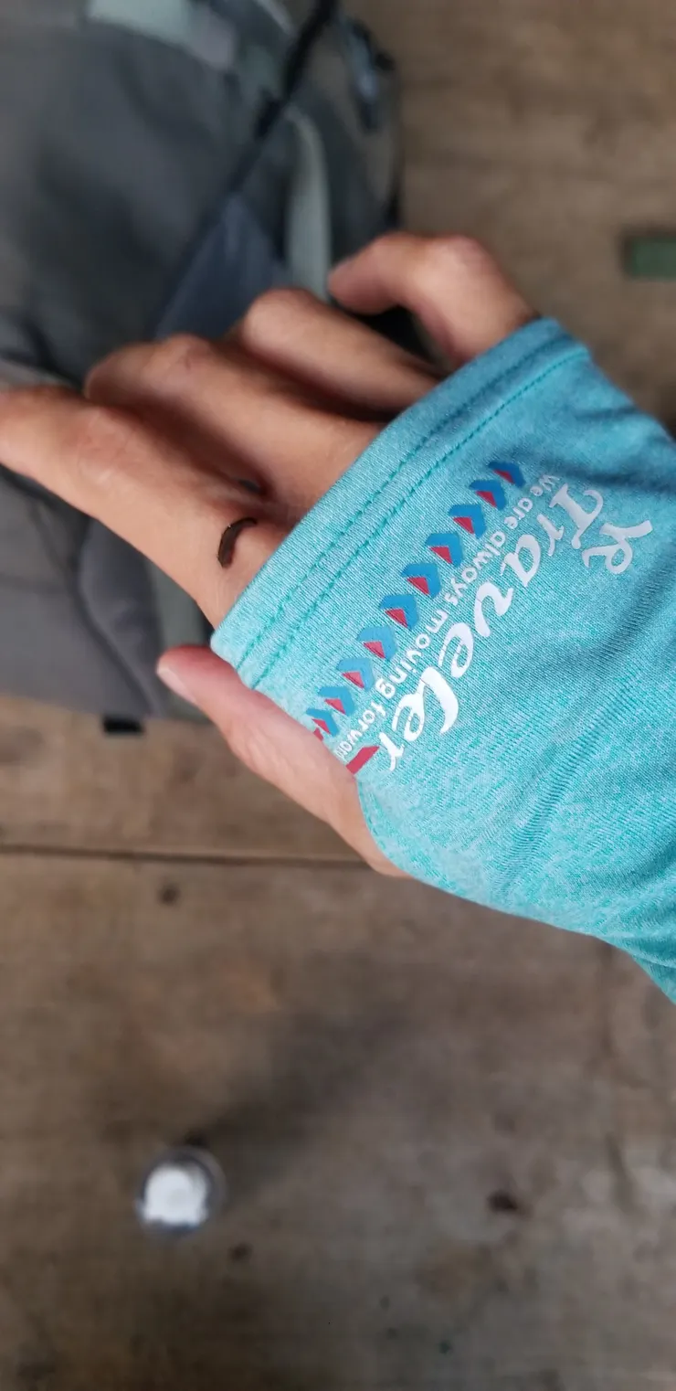 十分黏身的水蛭