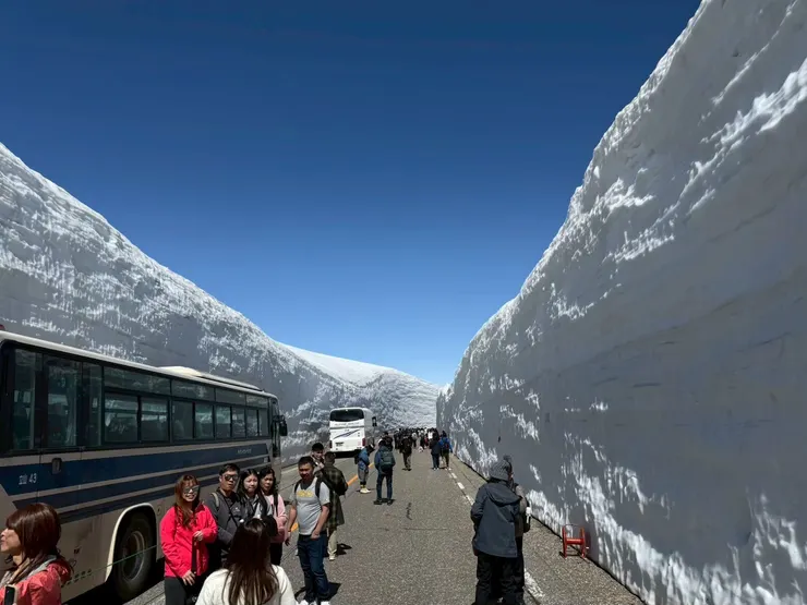 有巴士對比就知道雪牆有多壯觀了！