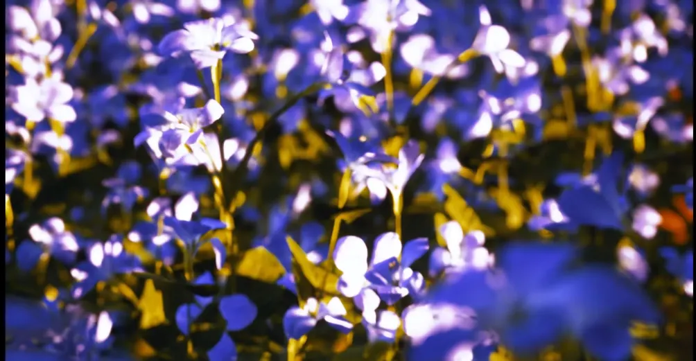 冥玥的模型日記