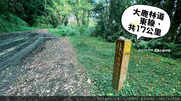 【大霸群峰4百岳。兩天一夜】觀霧大鹿林道東線騎越野單車/馬達