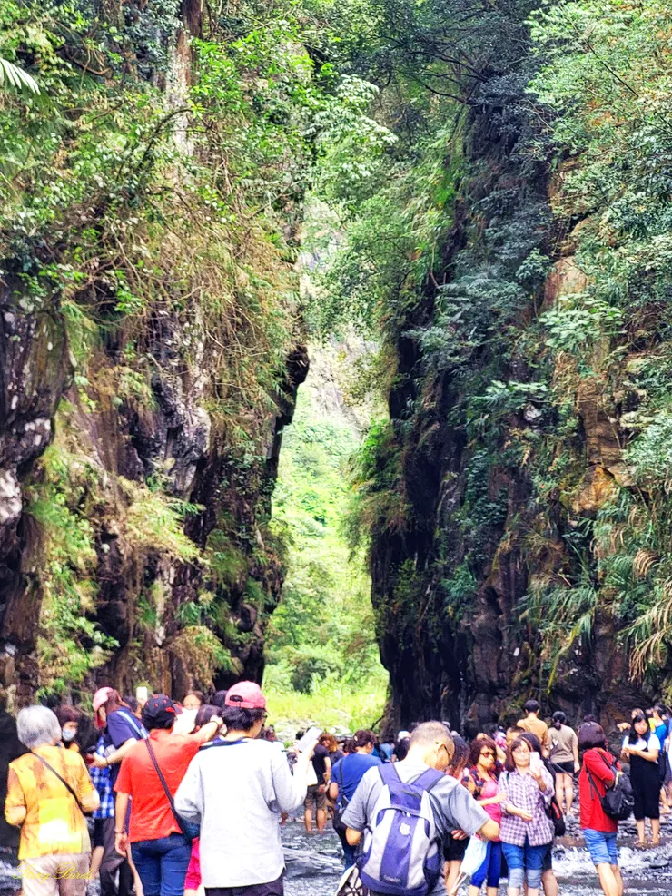 15:30抵達預定的終點一線天(只有騎30分實在不過癮，下次一定要挑戰全段才行）