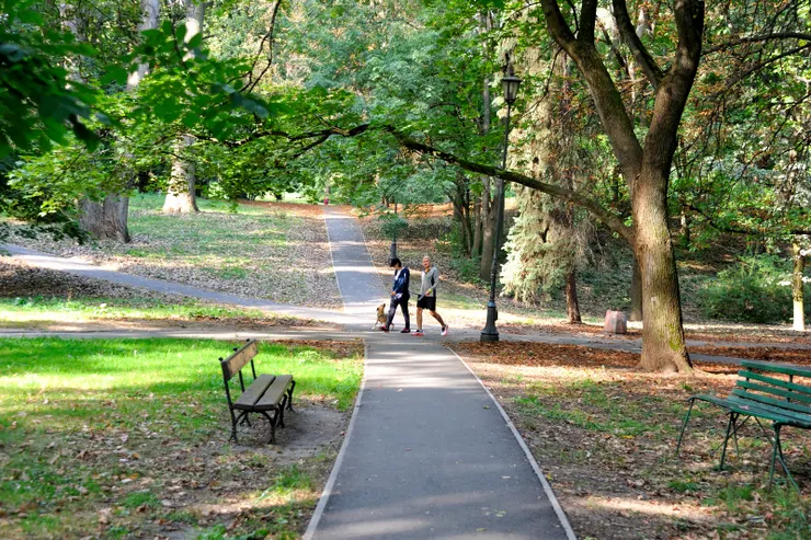 【樹林草地三兩木椅與幾條曲徑，偶逢散步蹓狗客只有更顯幽靜！里茲公園。】