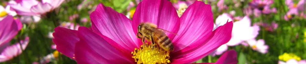 鈴瀧編的千界沙龍