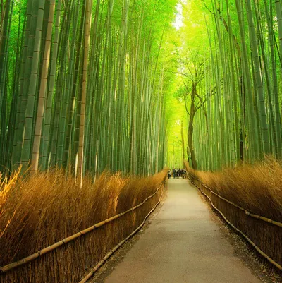 二孩媽奇幻人生的平淡重生