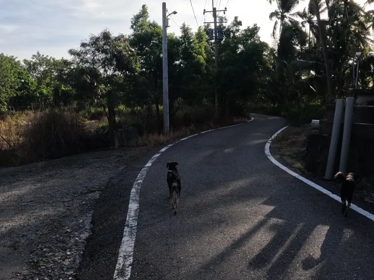 左奶奶的家距離海邊超近。